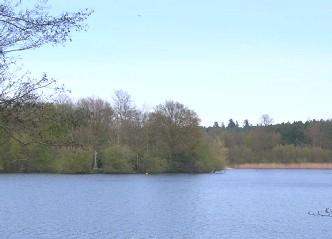 The memorial on an island in Bearwood Lake