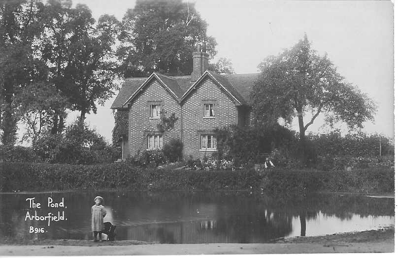 The Pond, Arborfield