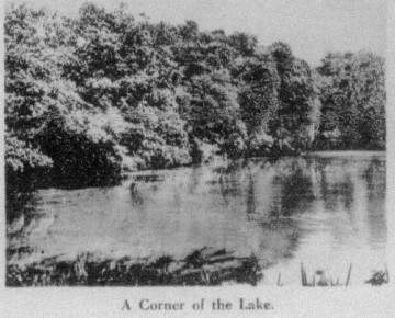 A Corner of the Lake