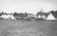 A training encampment at the Remount Depot