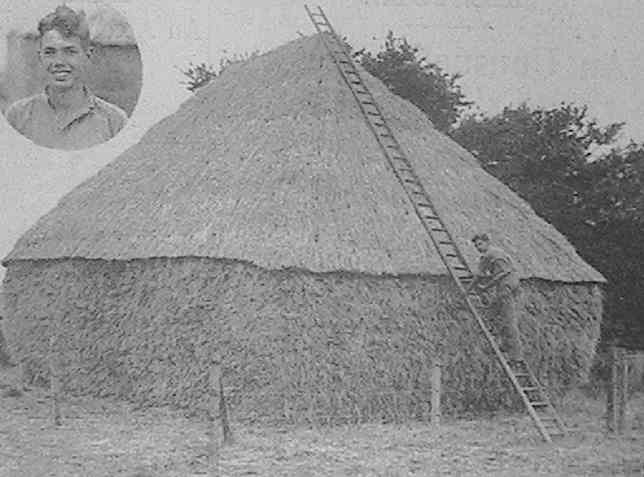 Example of a thatched hay-rick